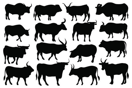 Ox silhouettes set isolated flat vector illustration on white backgroundのイラスト素材