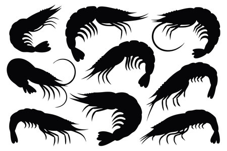 Shrimp icons set. Black silhouettes of seafood. Vector illustrationのイラスト素材