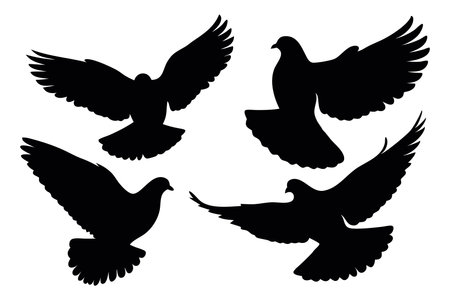 Pigeons flying bird silhouettes set Vector illustration on white backgroundのイラスト素材