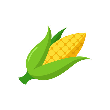 Corn flat vector illustration on white backgroundのイラスト素材