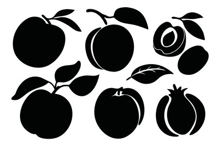 Apricot Juicy and ripe summer fruits, silhouettes set Vector illustration on white backgroundのイラスト素材