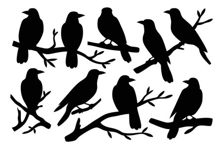 crows on tree branch silhouettes set isolated flat vector illustration on white backgroundのイラスト素材