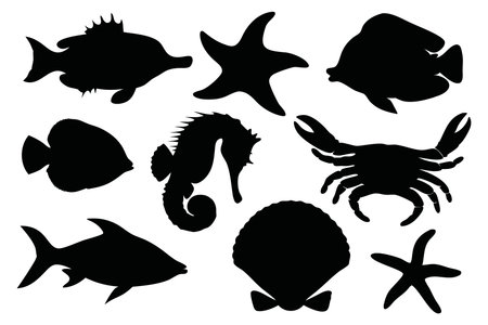 Fish and sea animals silhouettes set Vector illustration on white backgroundのイラスト素材