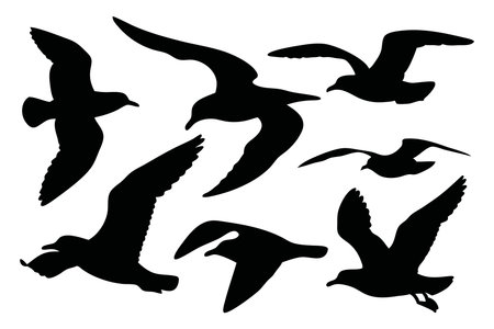 Flying sea gulls set silhouettes set Vector illustration on white backgroundのイラスト素材