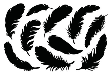 Fluffy feather. silhouettes set Vector illustration on white backgroundのイラスト素材