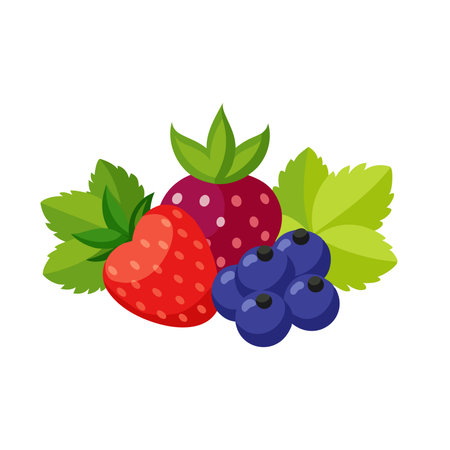 Fresh berries flat vector illustration on white backgroundのイラスト素材