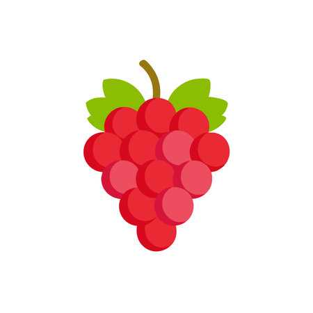 Red grapes flat vector illustration on white backgroundのイラスト素材