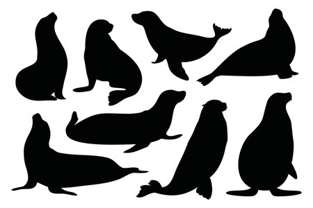 Seal animal silhouettes set isolated flat vector illustration on white backgroundのイラスト素材