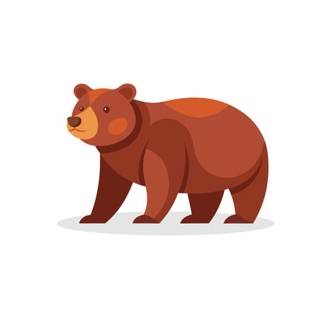 Bear animal flat vector illustration on white backgroundのイラスト素材
