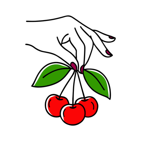 Hand with cherry. Vector illustration of a hand holding a cherry.