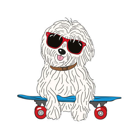 coton de tulear dog breed vintage illustrationのイラスト素材