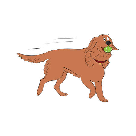 Labrador retriever dog breed vintage illustrationのイラスト素材