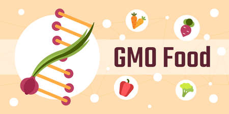 Genetically modified food vector illustrationのイラスト素材