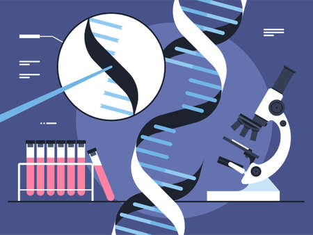 Vector illustration of a spiral structure of DNA macromolecule