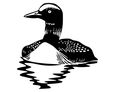 Loon svg diver clipart vector graphic art loon printable waterfowl loon design digital png artworkのイラスト素材