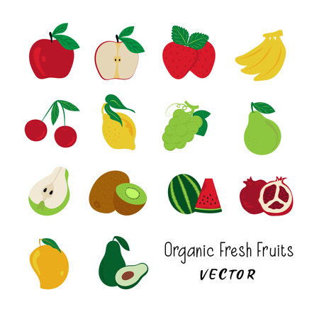 Free Hand drawn Fresh Organic Fruits Vector Graphics Collection For Banner and Marketing.のイラスト素材
