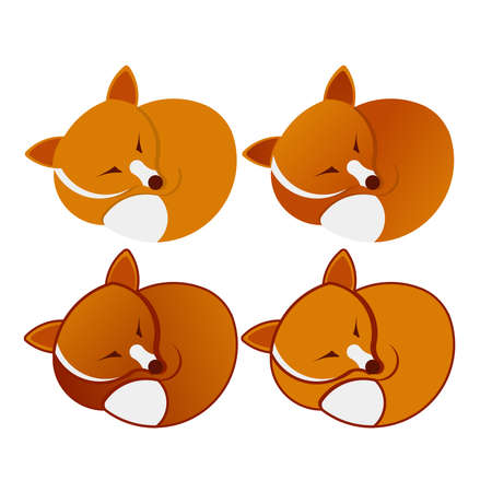 Fox Logo | cute sleeping | four different style with golden ratio technique