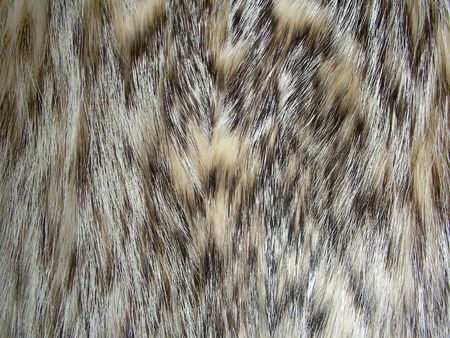 Animal fur texture