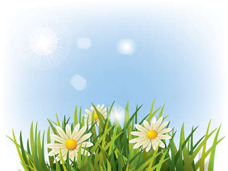Flower in green grass and blue backgroundのイラスト素材