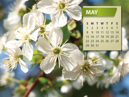May flower calendarの写真素材