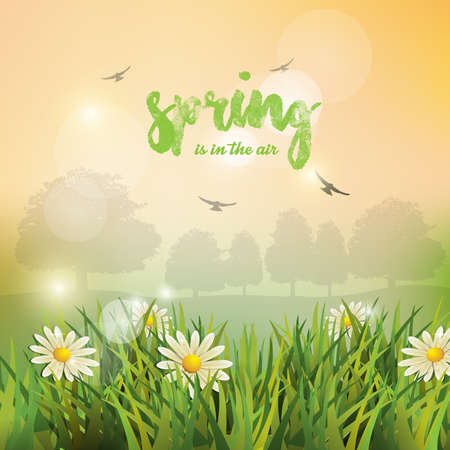 Spring. Background. Spring is in the air. Spring Landscape.のイラスト素材