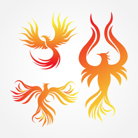 Vector fire bird logo set. Abstract fire bird symbol for design.のイラスト素材