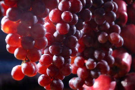Healthy fruits Red wine grapes background/ dark grapes/ blue grapes/wine grapes,Red wine grapes background/dark grapes, blue grapes,Red Grape in a supermarket local market bunch of grapes ready to eatの写真素材