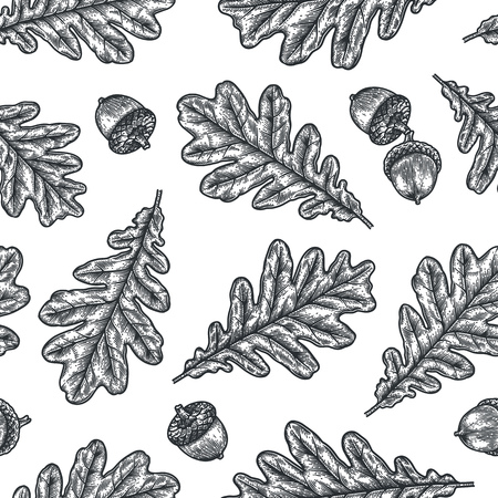 Engraving seamless pattern of Oak Leaf and Acorn. Detailed hand drawn autumn background.のイラスト素材