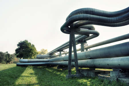 tubes from the green acidic