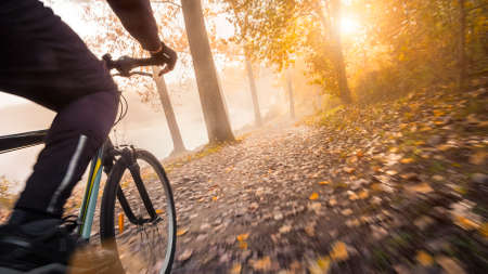 Cycling in a hazy autumn forest. Riding a bicycle, with motion blurred ground in golden sunshine.の写真素材