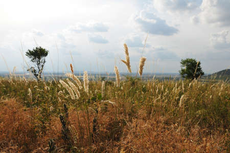 Beautiful landscape horizontal with gradient sky and cloudsの写真素材