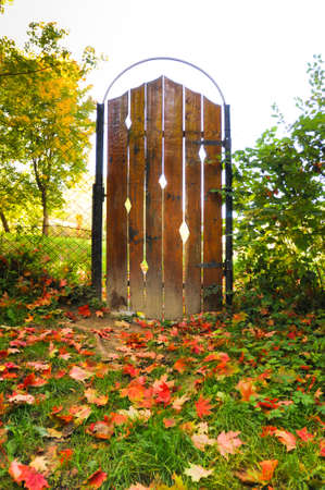 Wooden beautiful and magic door at autumn with lots of maple leaves