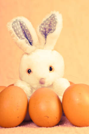 White toy rabbit with eggs portrait looking at camera