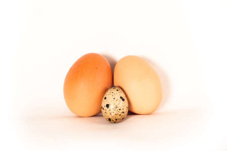 Two big chicken eggs orange color different saturation and one small quail egg. Eggs stands together on white backgroundの写真素材
