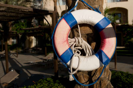 Lifebuoy on palm tree closeup with copyspaceの写真素材