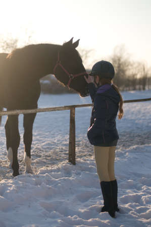 Two horses in levada paddock at winter with girl eleven yearsの写真素材