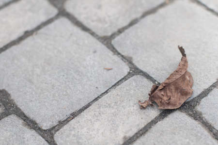 Ground grey color tile outdoor top view with copy spaceの写真素材