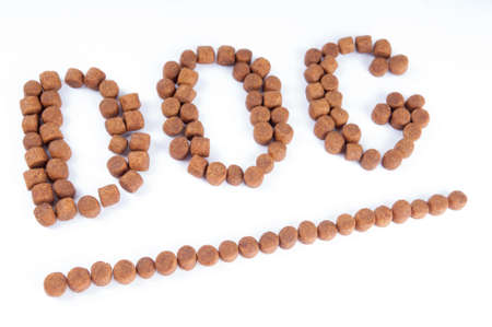 Laid out dog word on white backgroundの写真素材