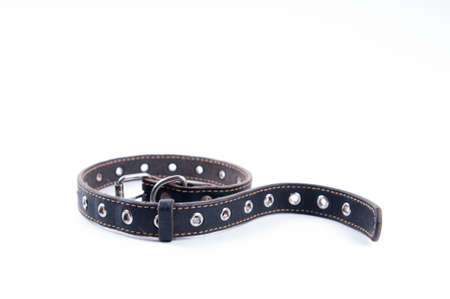 Black dog leather collarの写真素材