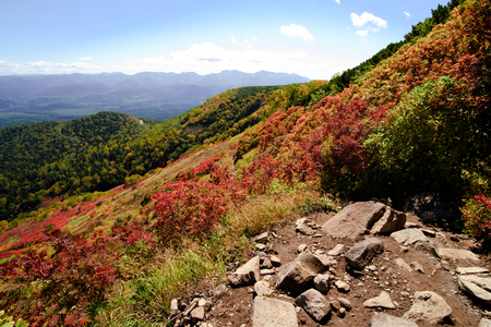 Hiking path in Hokkaido mountain in autumn, red leaves seasonの写真素材