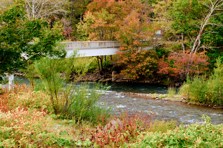 River and bridge in red leaf valleyの写真素材
