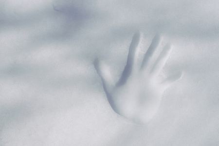 palm print on the snowの写真素材