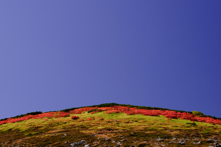 red leaves season of mountain and blue sky in Hokkaido japanの写真素材