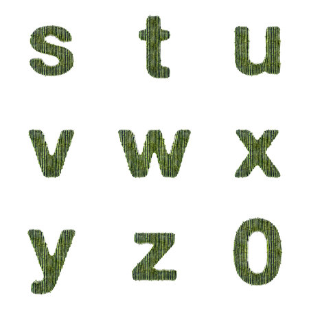 3D Render Set of Bamboo Font including Letters, Numbers and Punctuation Marks isolated on white background, including path embedded on jpg for easier decoupage.の写真素材