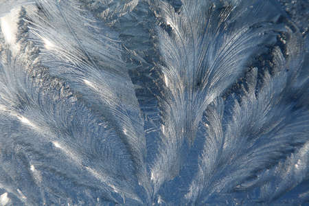 Ice crystals on window glassの写真素材