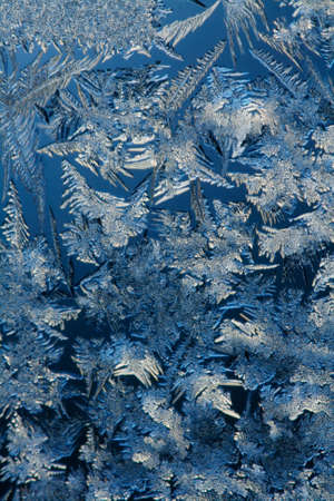Ice crystals on window glassの写真素材
