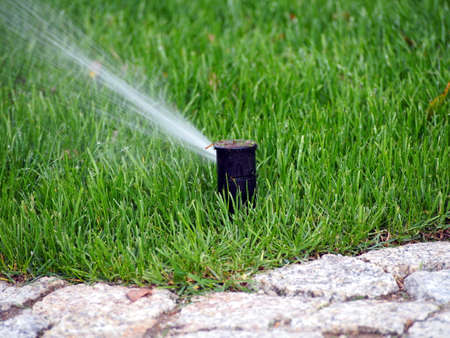 Garden irrigation - working sprinklerの写真素材