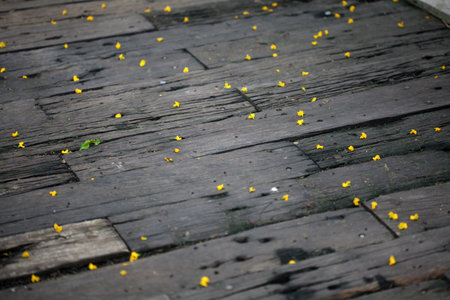 small yellow flowers fell on the wooden planksの写真素材