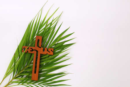 Cross and palm on white background.