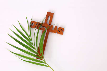 Cross and palm on white background.の写真素材